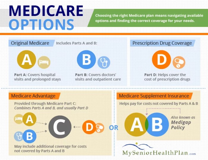 Insurance senior health options medicare citizens turning infographic Insurance senior health options medicare citizens turning infographic